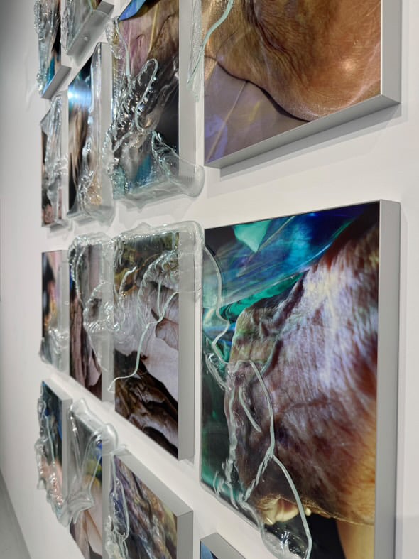 Galerie Manon SAILLY 1